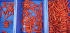 Línea de procesamiento de clasificación de yuca, rábano y zanahoria Fengxiang