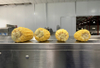 Máquina clasificadora de cebolla de patata de fruta Fengxiang con transportador de inspección