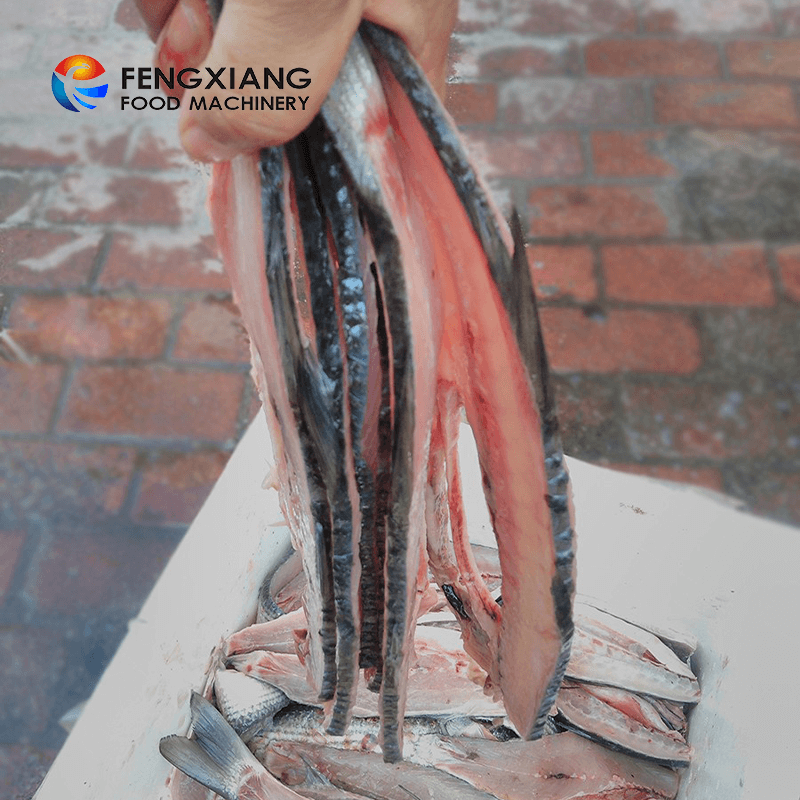 Fengxiang FGB-180 Equipo automático de procesamiento de corte y fileteado de pescado, tilapia y salmón