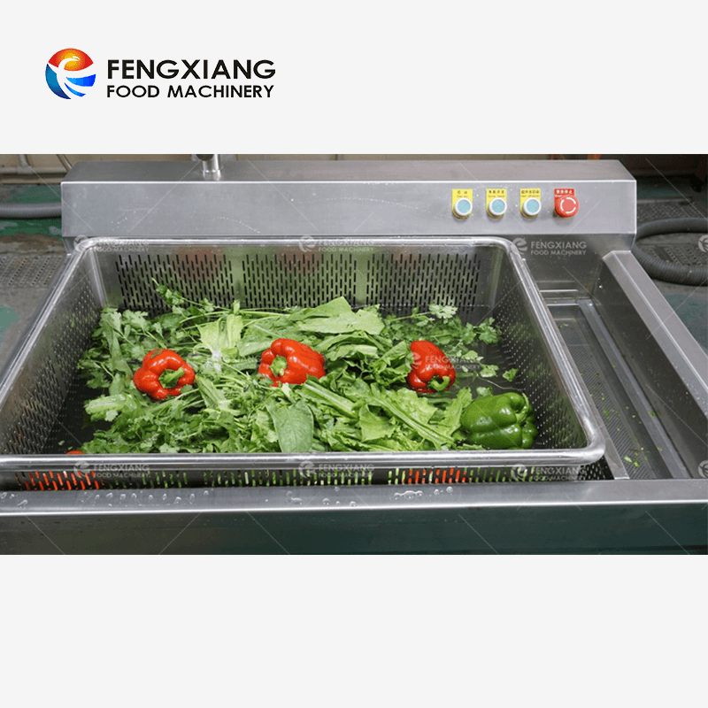 Máquina de limpieza de lavado de frutas y verduras con burbujas de desinfección ultrasónica de ozono Fengxiang WASC-10
