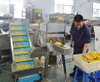 Máquina industrial de procesamiento desgranadora de maíz dulce fresco FengXiang MZ-368