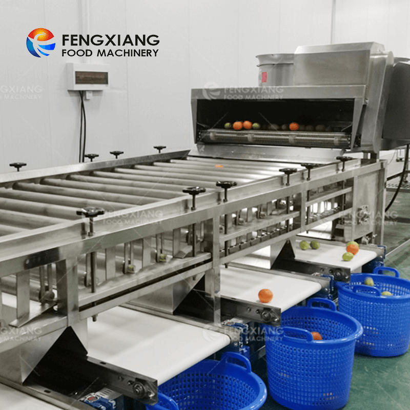 Máquina clasificadora de cebolla de patata de fruta Fengxiang con transportador de inspección