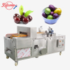 máquina automática comercial para deshuesar frutas, cereza, oliva, ciruela, equipo deshuesador